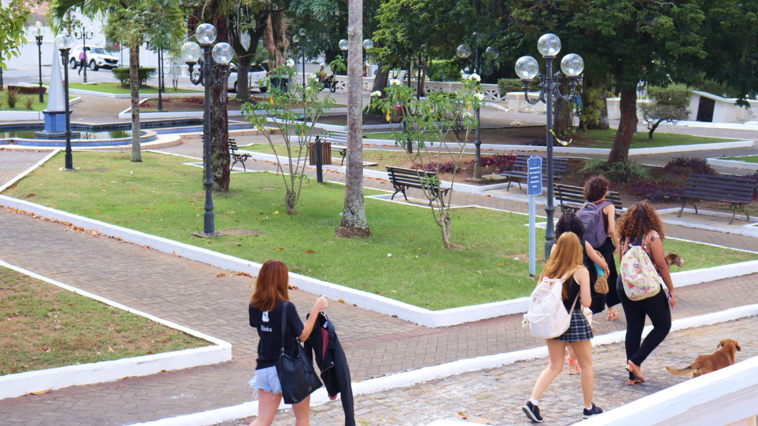 301020258.png 301020258.png