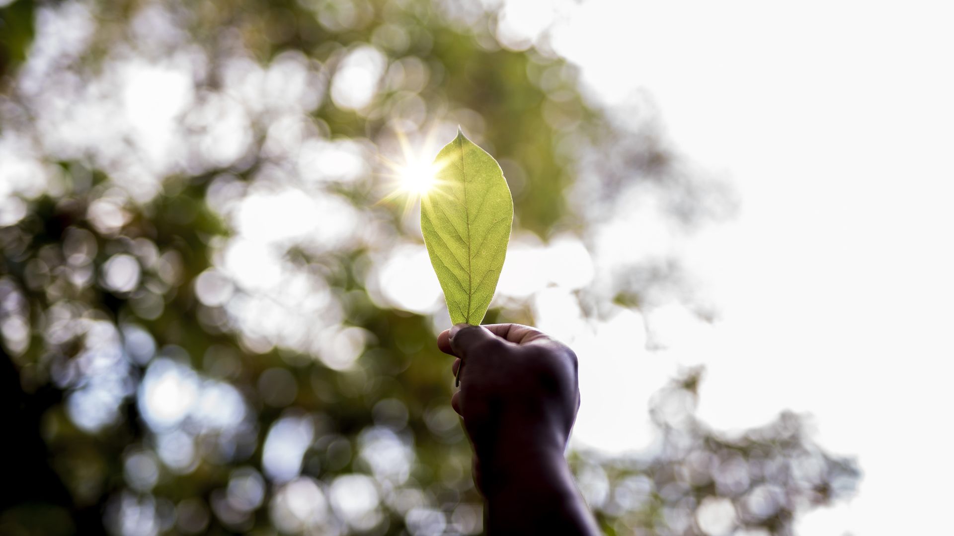 UFPB oferece 18 vagas para o Mestrado Acadêmico em Ecologia e Sustentabilidade UFPB oferece 18 vagas para o Mestrado Acadêmico em Ecologia e Sustentabilidade
